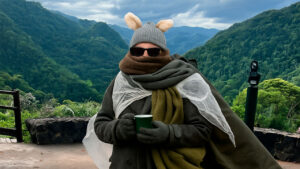 petar-no-inverno-o-que-fazer