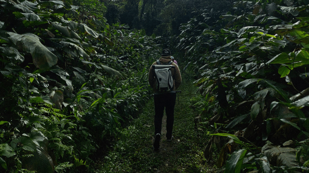 roteiros-no-petar-caverna-temimina