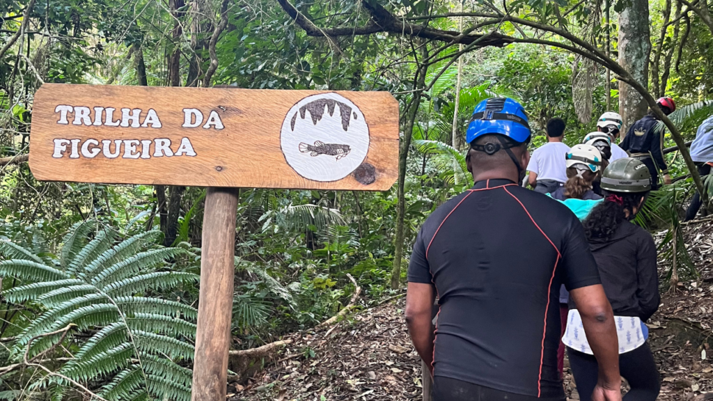 Praça-da-Figueira-e-figueira-branca