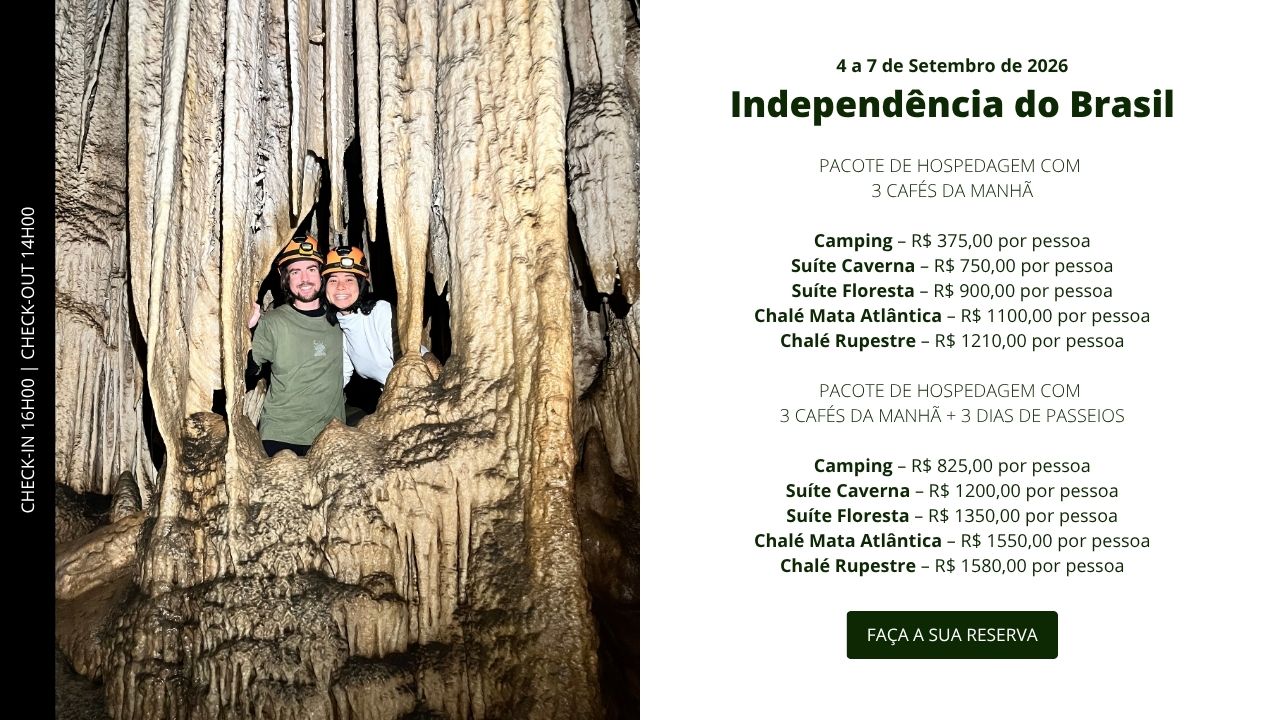 1-independencia-brasil-petar